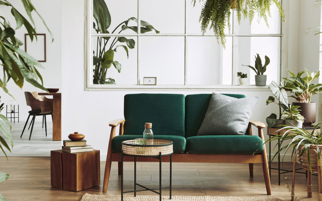 Décoration intérieure d'un espace ouvert scandinave avec un canapé en velours, des plantes, des meubles, dans un home staging élégant