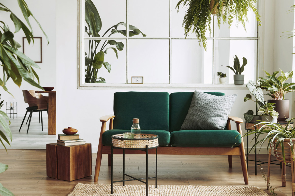 Décoration intérieure d'un espace ouvert scandinave avec un canapé en velours, des plantes, des meubles, dans un home staging élégant